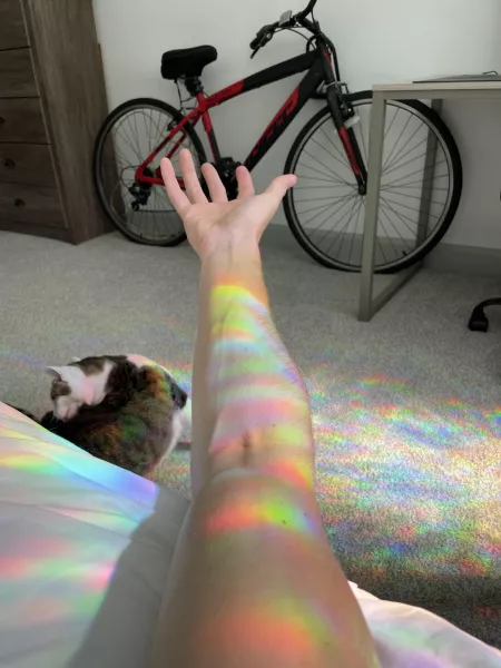 Forearm✅ cat✅ cool lighting✅ Forearm✅ cat✅ cool lighting✅