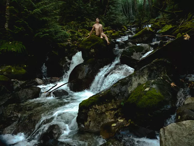 forest fall forest fall