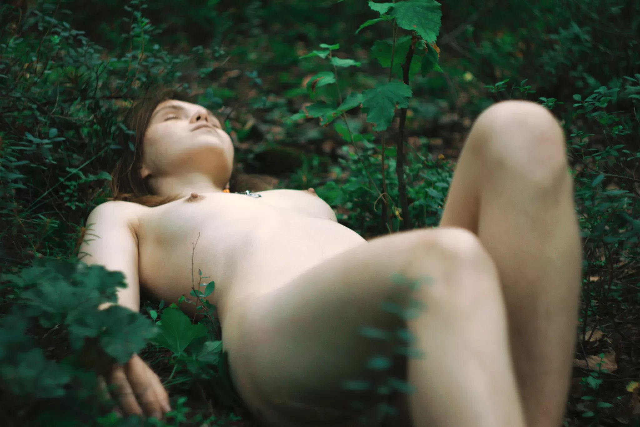 forest,nudity.