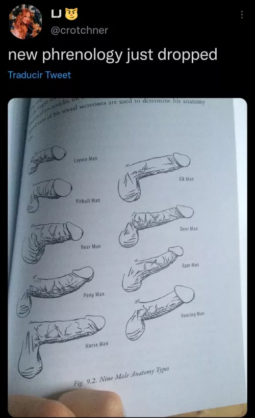 Forget about your Zodiac sign, what kind of Penis Man are you? Forget about your Zodiac sign, what kind of Penis Man are you?