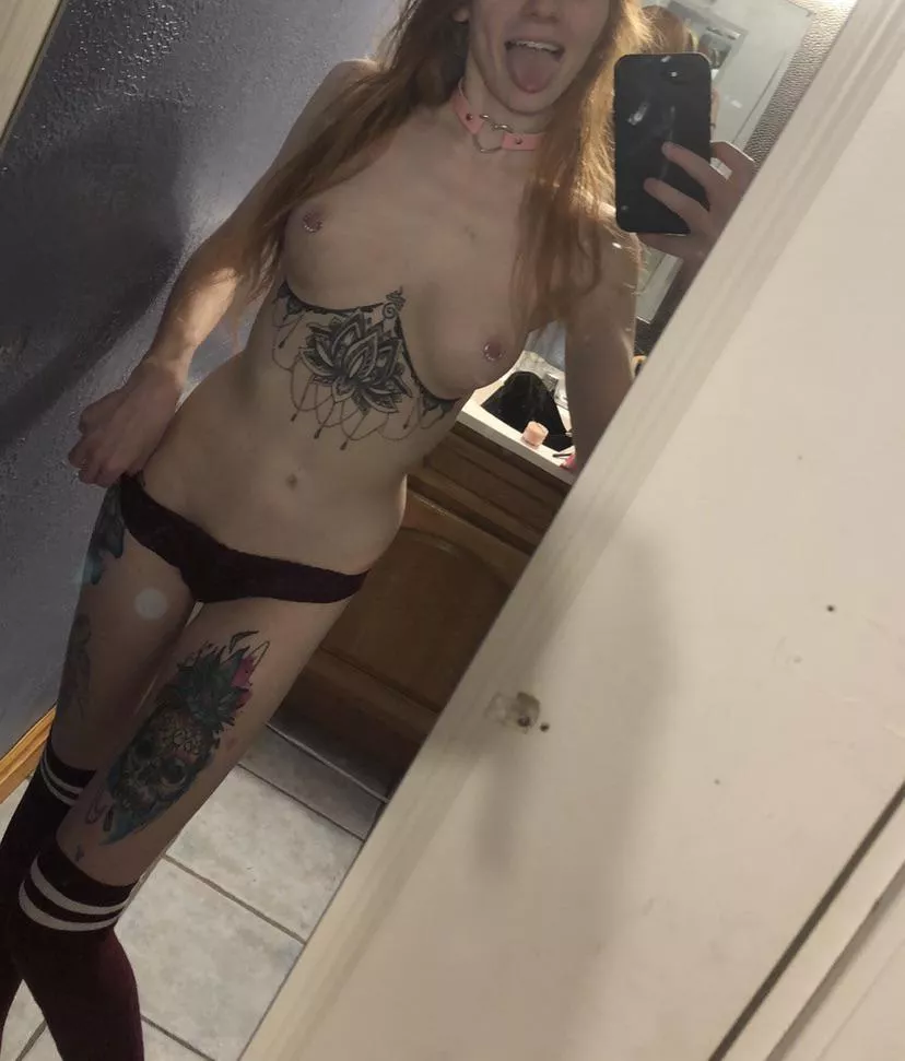 Forgot my leash Forgot my leash