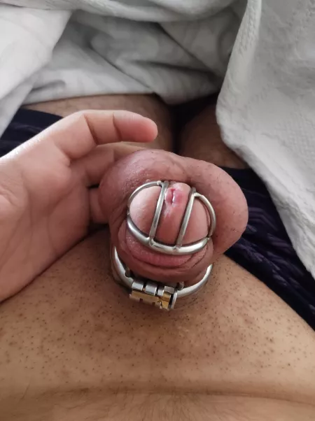 Found a gf who's into chastity play and she's told me we'd start with a 3-week lock up, I'm feeling so lucky 💞 Found a gf who's into chastity play and she's told me we'd start with a 3-week lock up, I'm feeling so lucky 💞