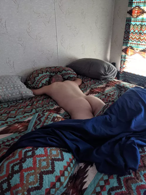 Found him snoozing after his shower Found him snoozing after his shower