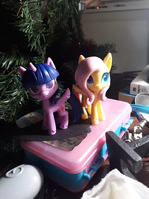 Found some really cute ponies for Christmas! Whose your favorite pony?
