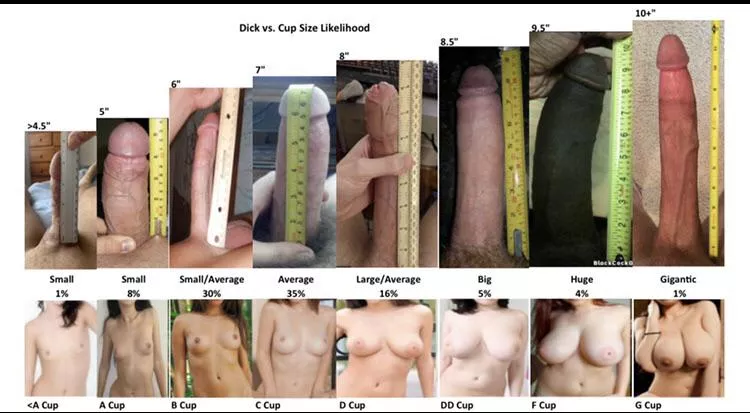 Found this interesting size comparison. What size would you be? Found this interesting size comparison. What size would you be?