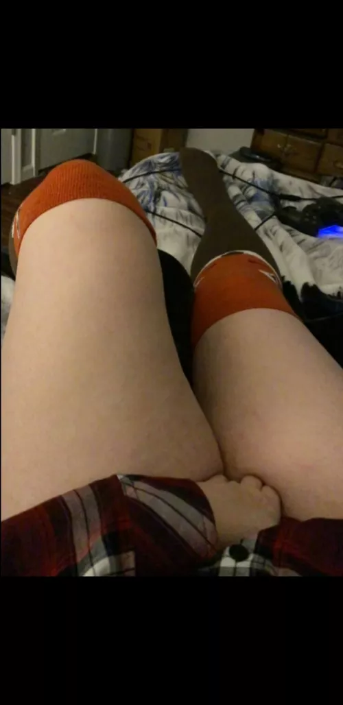 Fox socks