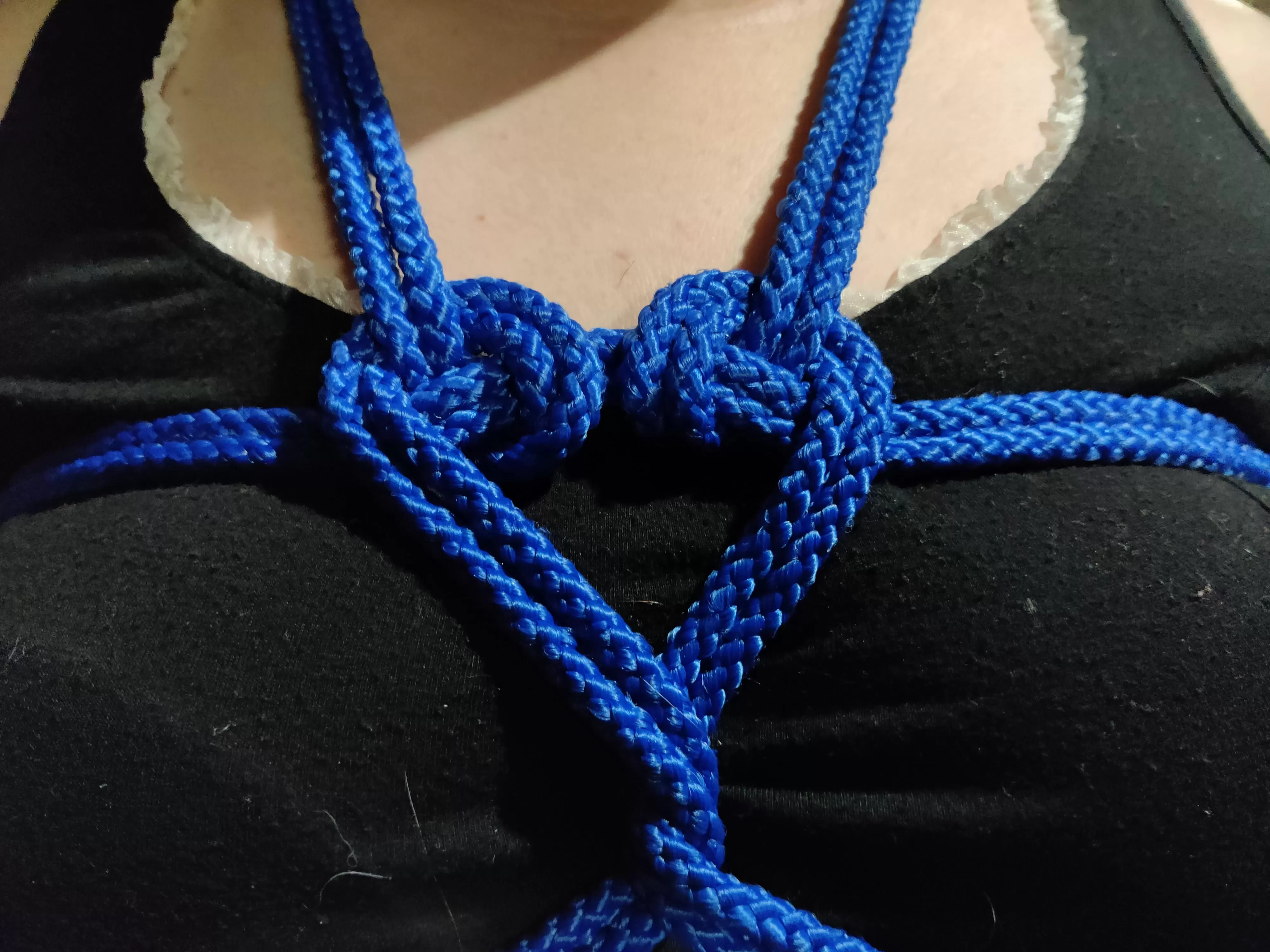 Foxo with heart harness Foxo with heart harness