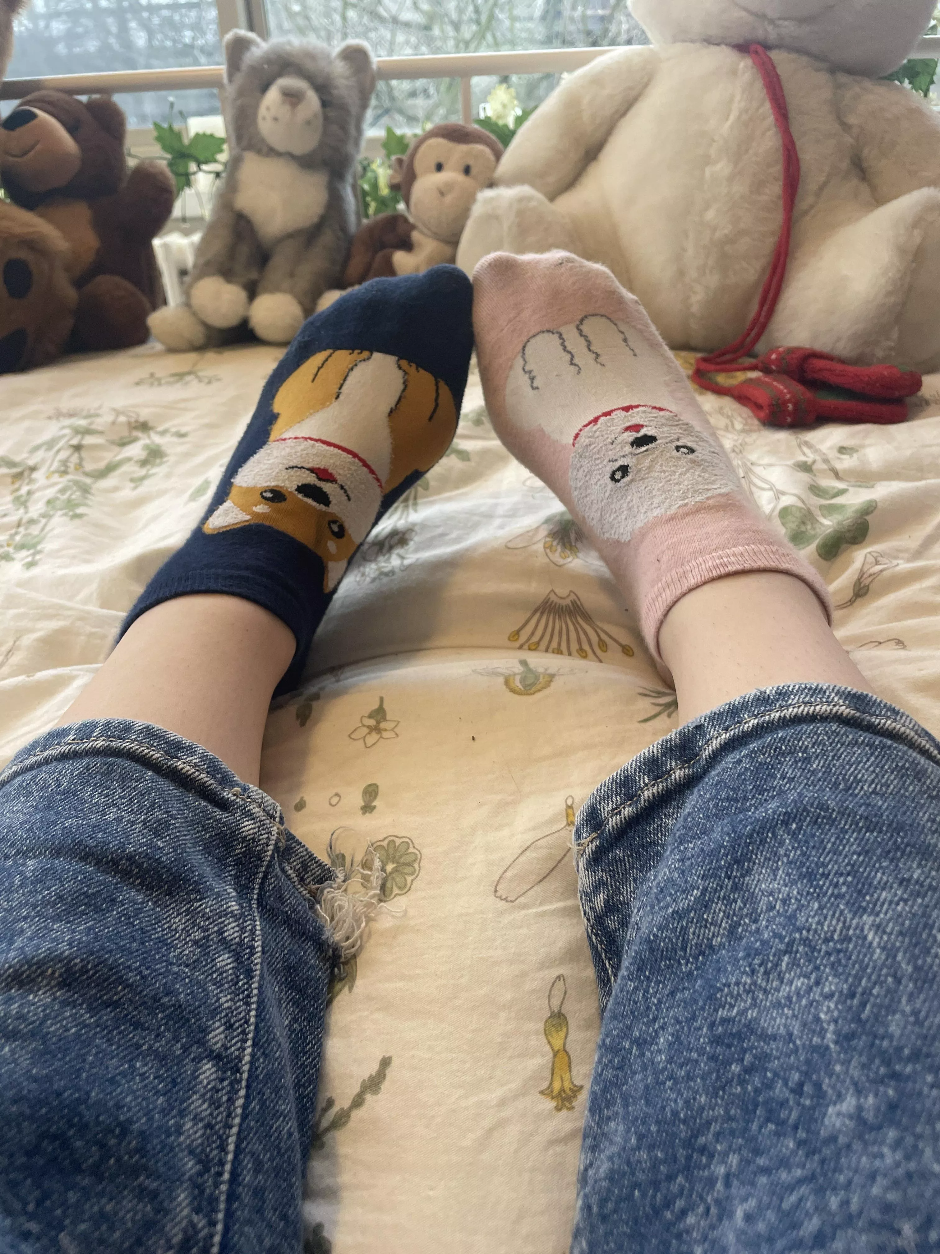 @foxxcii (I dunno if that tag will work) but I saw your socks and had to share mine have puppies!