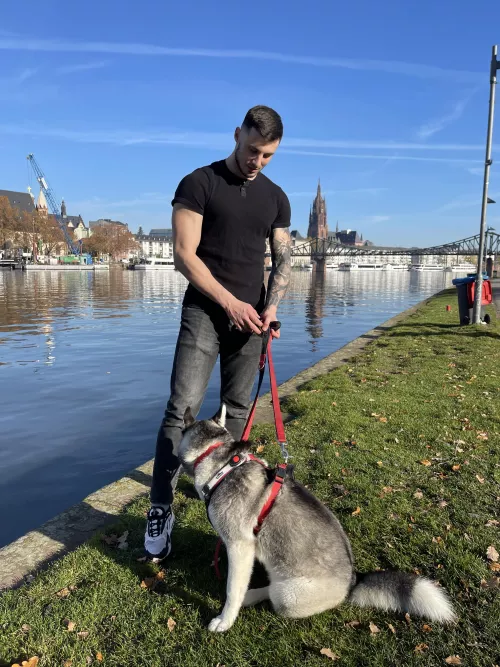 Frankfurt 🇩🇪 Frankfurt 🇩🇪