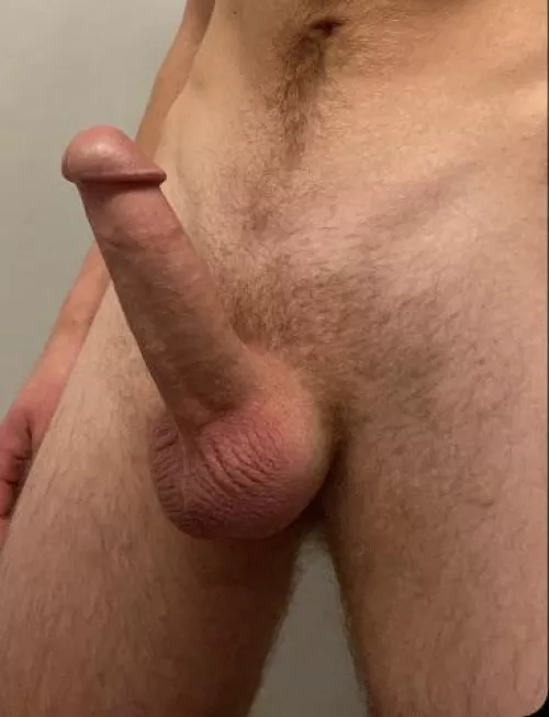 Fresh