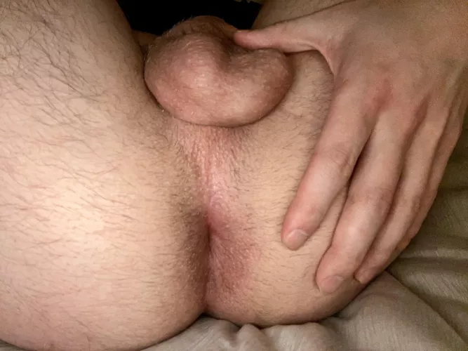 fresh ass for ya
