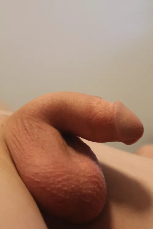 Freshly Shaved