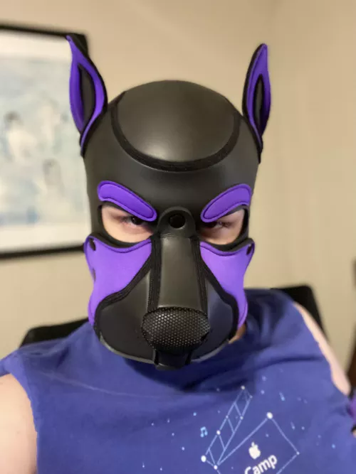Frisky pup says, “woof!” Frisky pup says, “woof!”