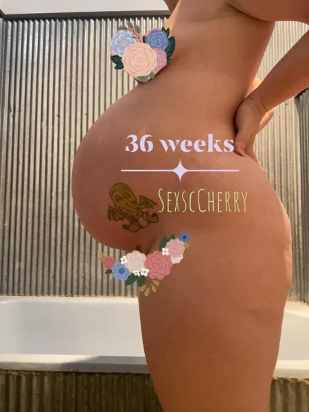 From beautifully chubby milf to sexily bred pawg π Selling all my content for one low price. Includes photos and videos from Lingerie to POV and everything in between π 36 weeks pregnant right now and sexy milky content to be added when my boobs fi