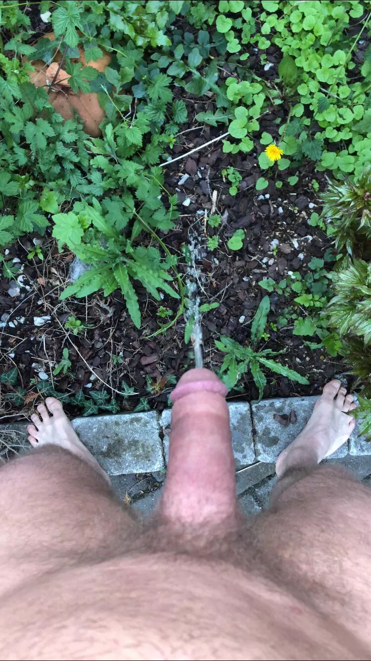 From my point of view this is outside From my point of view this is outside