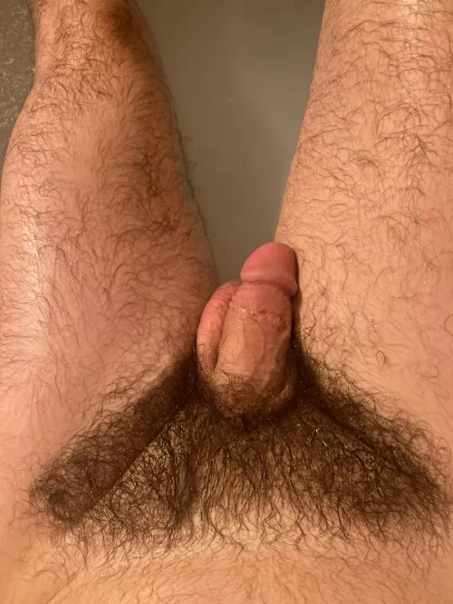 Full bush always, never shave never trim π