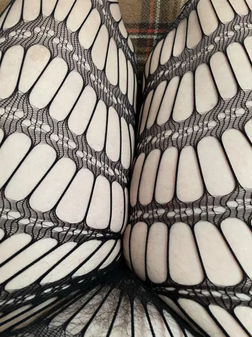 Full bush in Crotchless fishnets anyone?