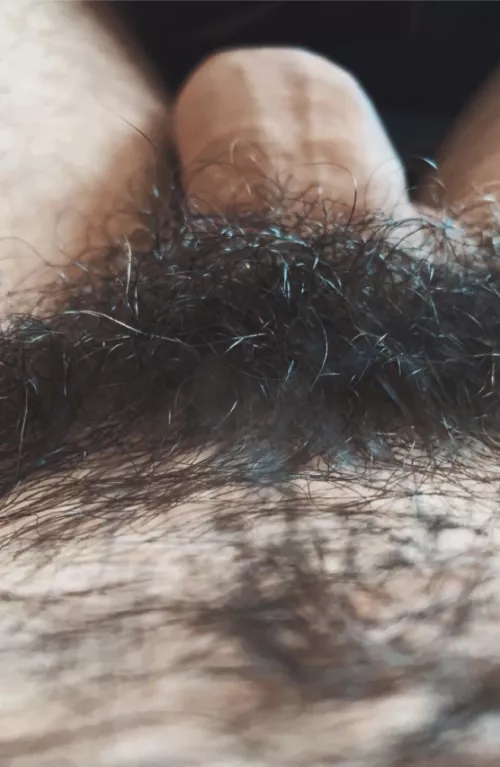 Full bush with a few stray greys...