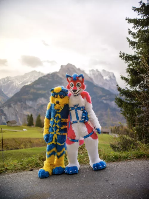 Fursuit Friday whit my fox friend (twitter: @spirou333) in the alps.