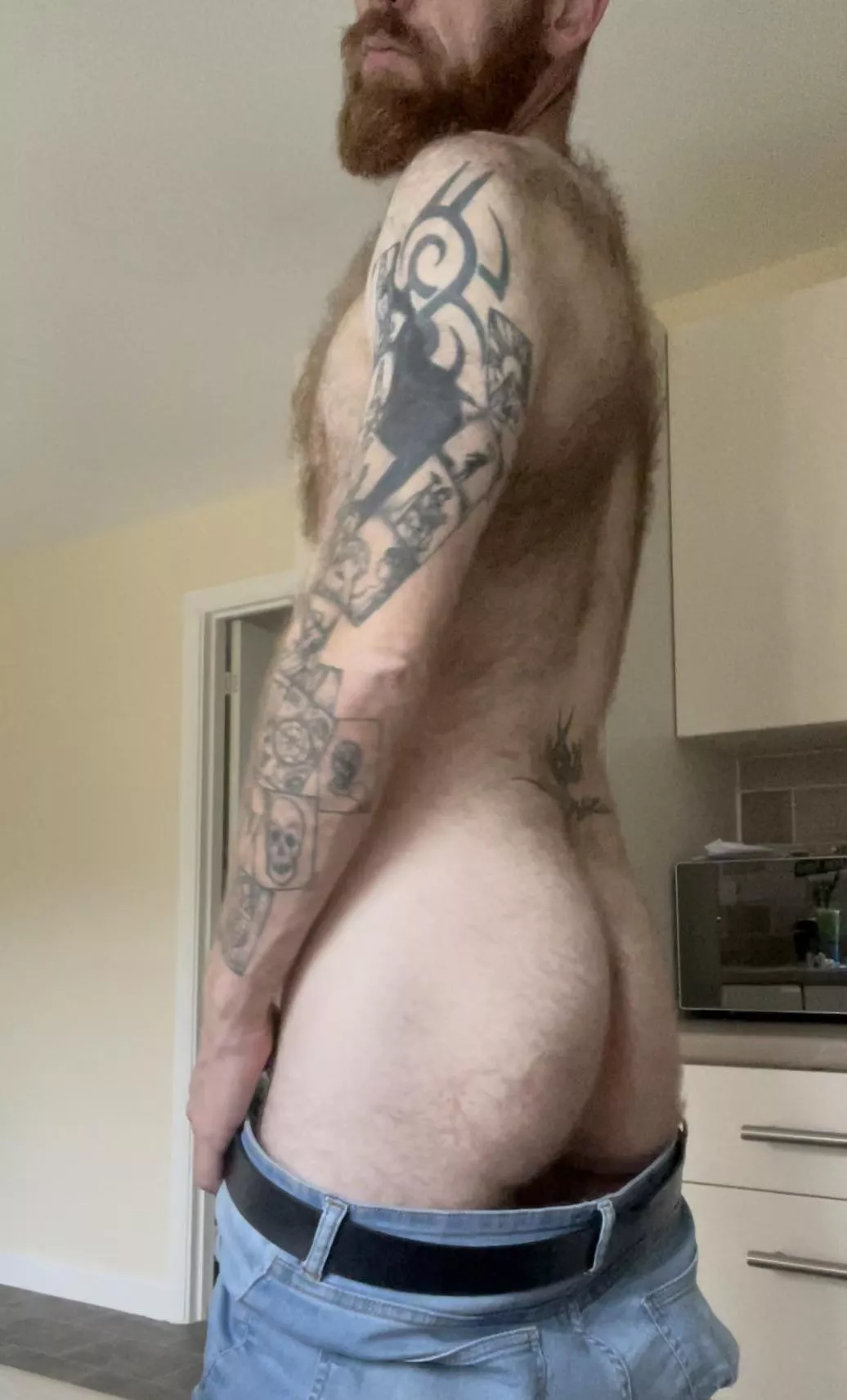 Fuzzy ginger bum! Fuzzy ginger bum!