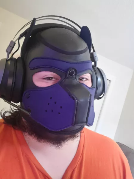 Gamer dog, anyone else love Destiny 2? Gamer dog, anyone else love Destiny 2?