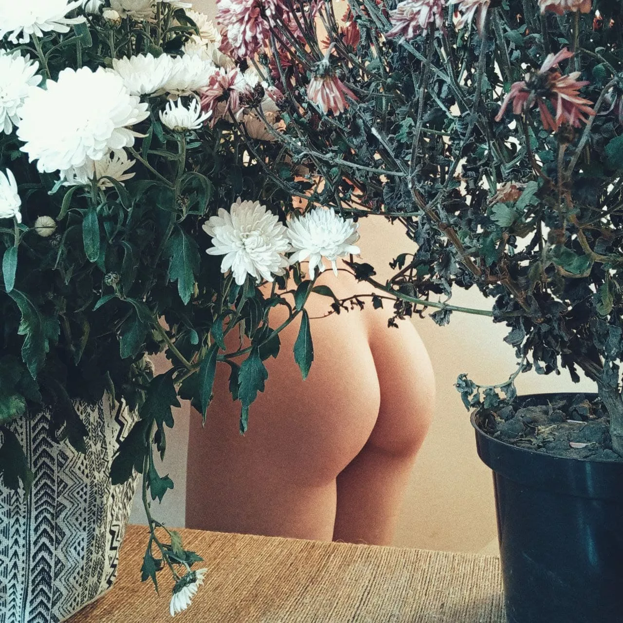 gardener's choice gardener's choice