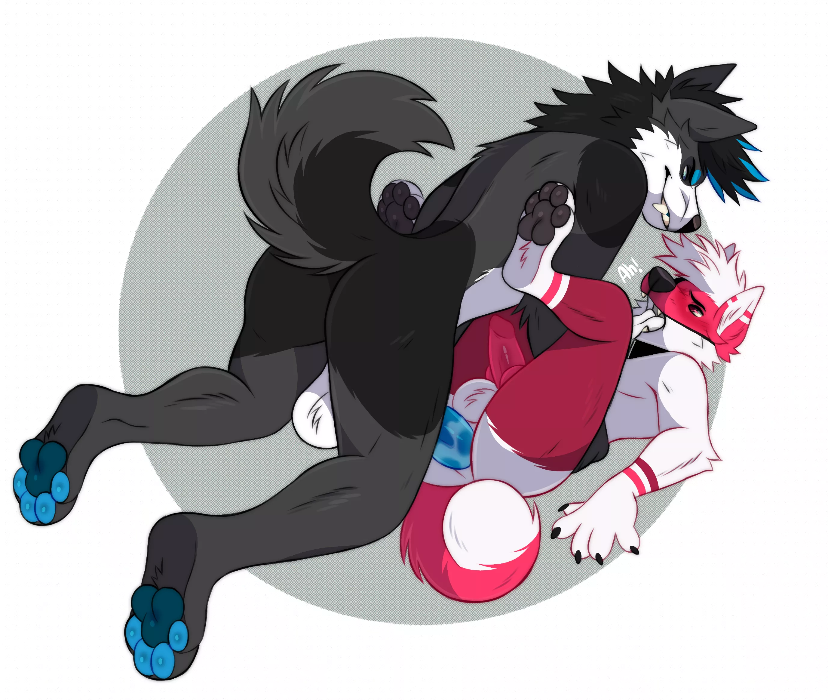 gay dogs (princelykaden)