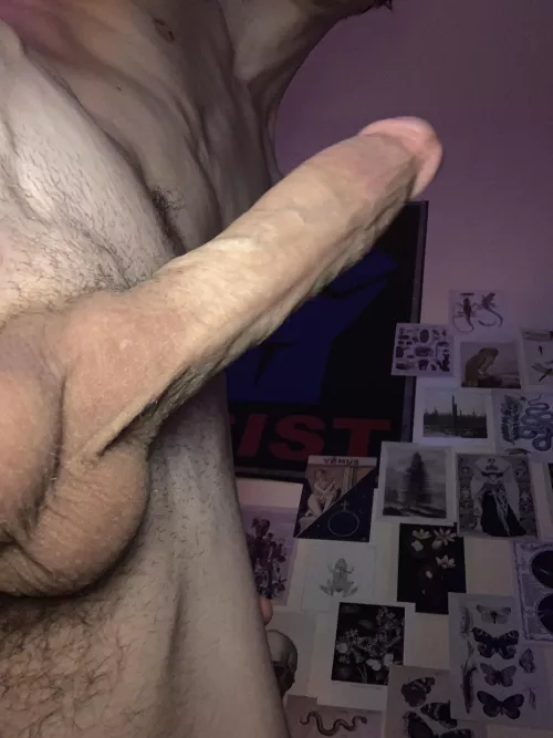 Get back to work and quit looking at cock