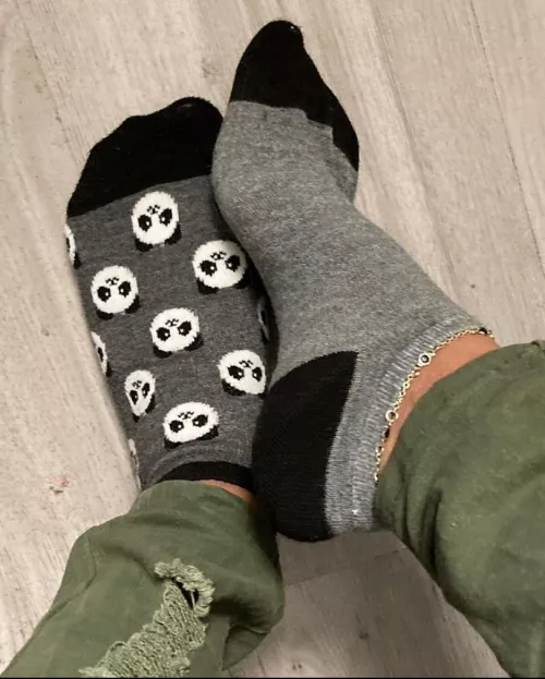 Get down and smell my sweaty socks