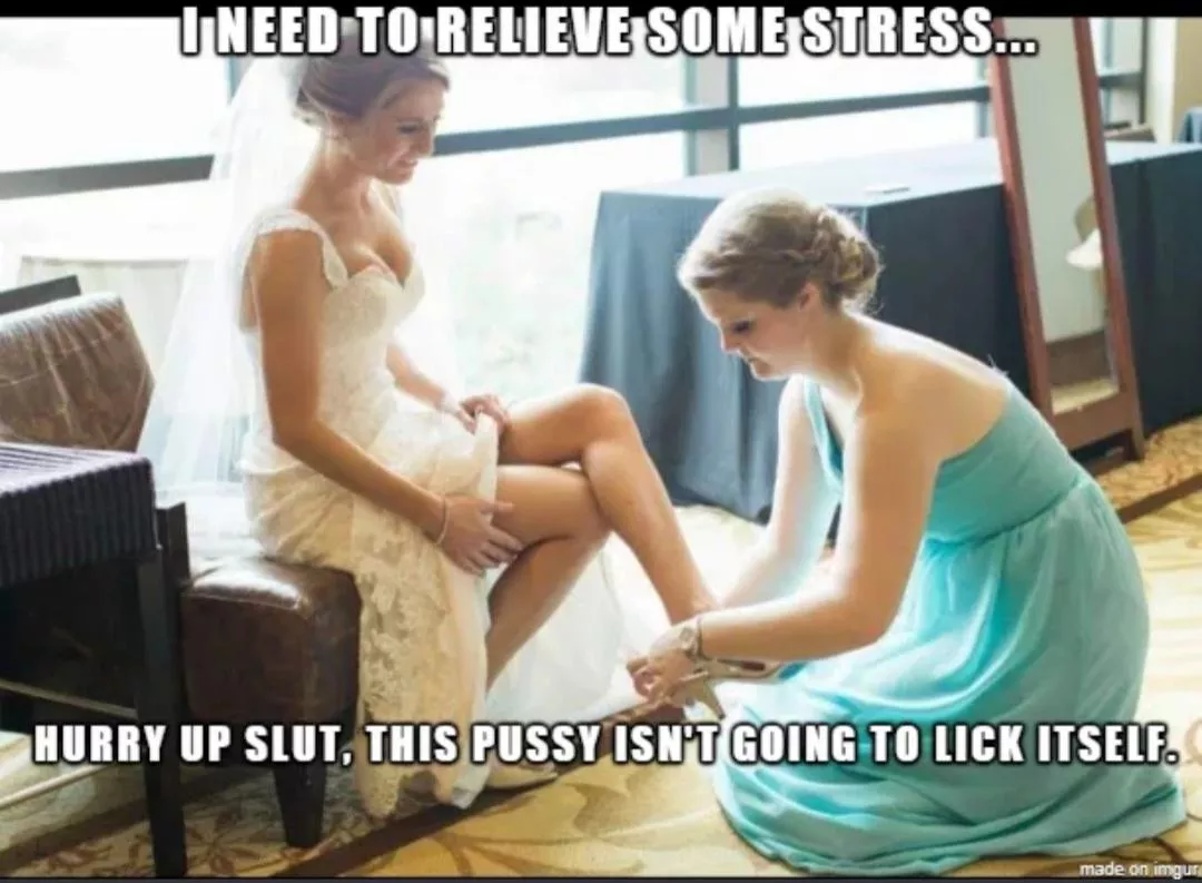 Get in there bitch Get in there bitch