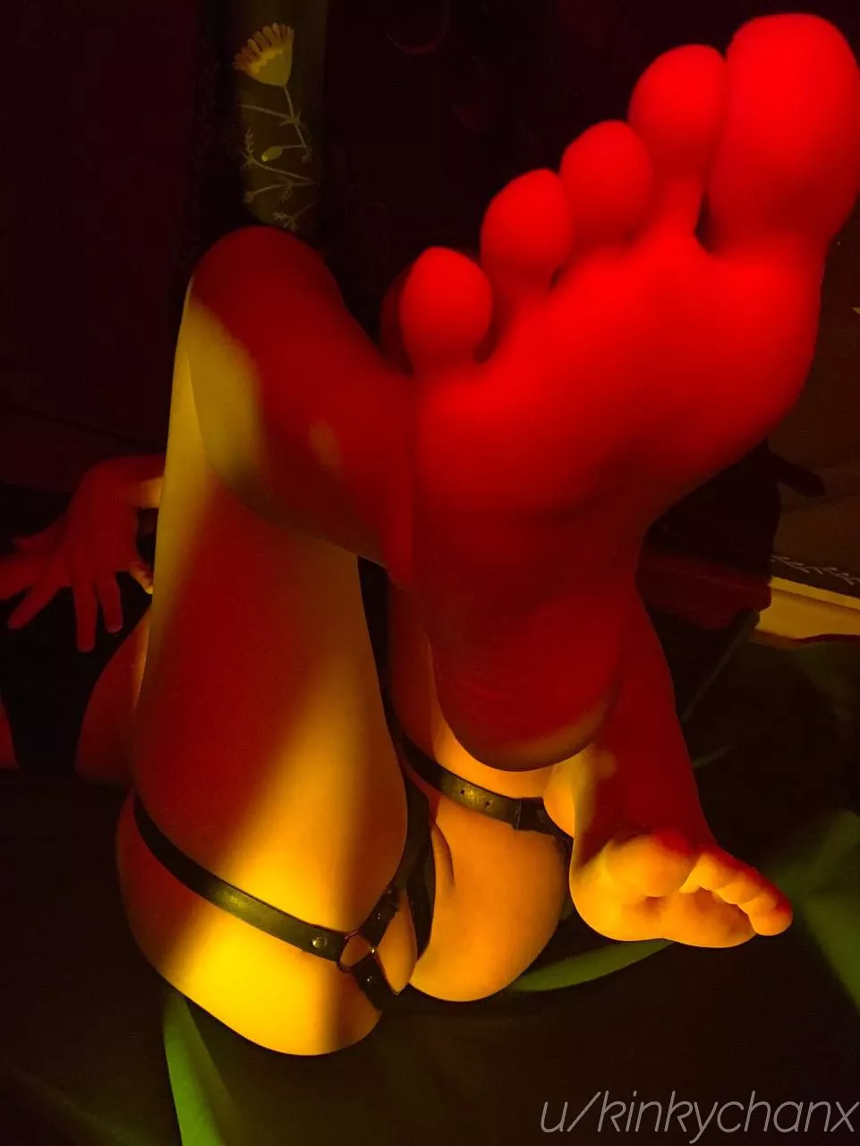 Get on your knees and start begging for permission to worship my toes.