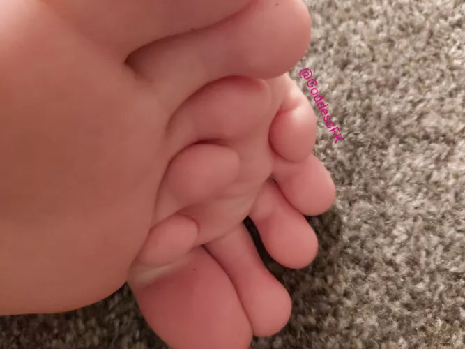 Get right in there!!!!! Get right in there!!!!!