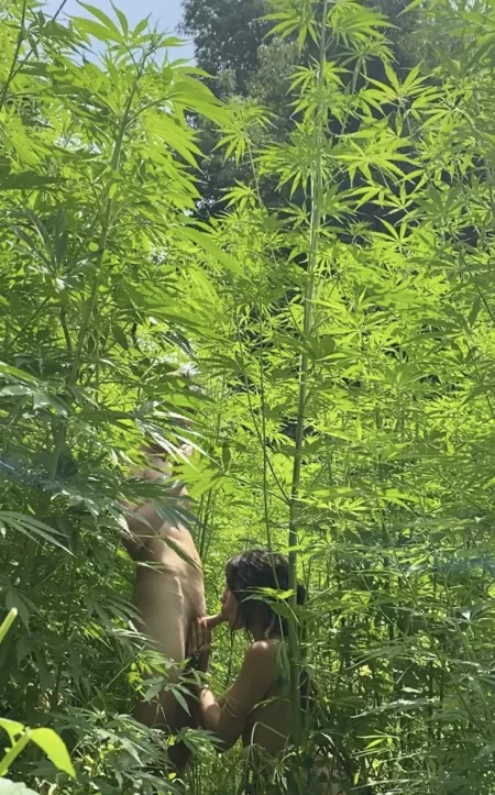 Getting high off of this blowjob Getting high off of this blowjob