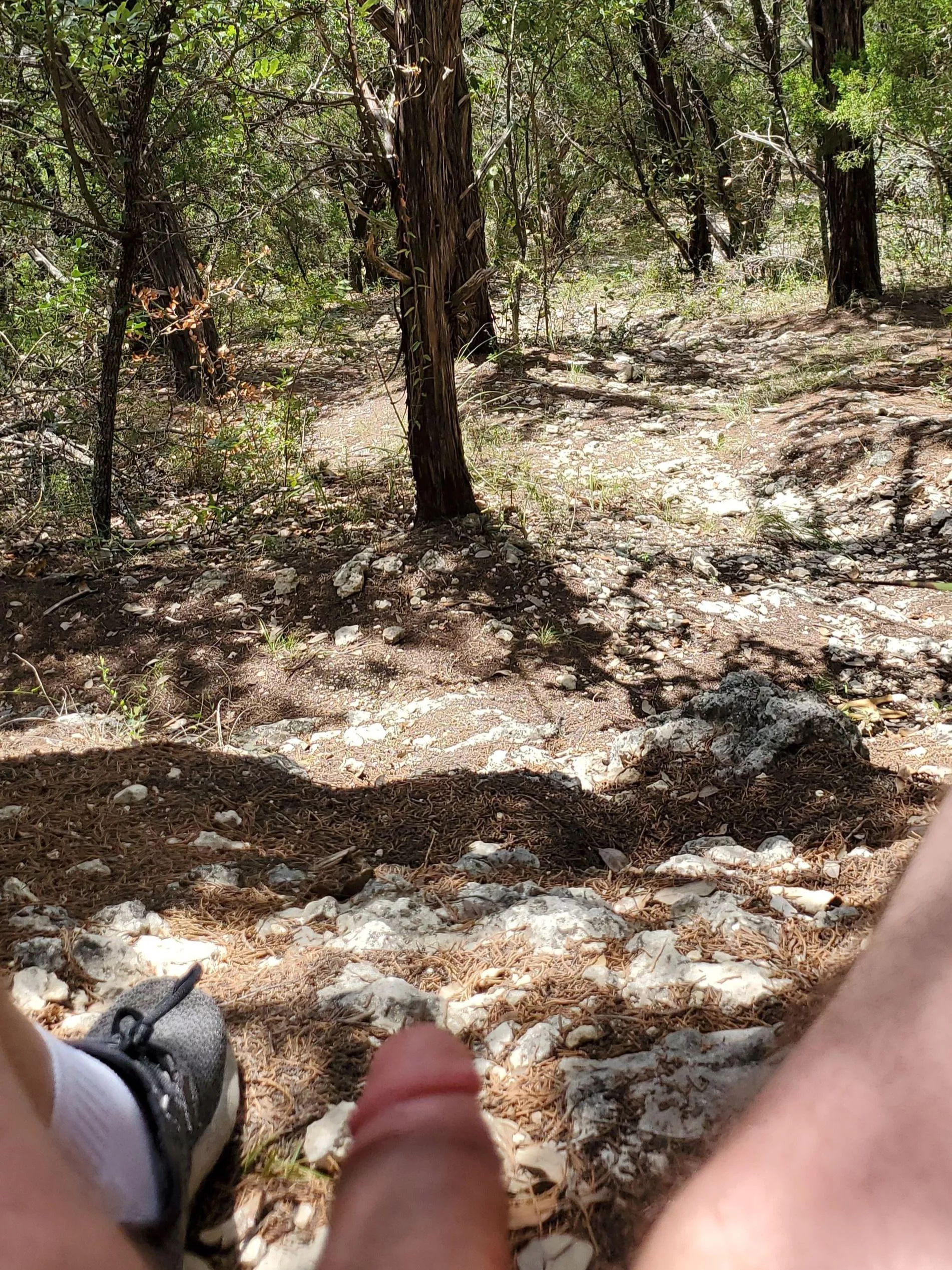 Getting myself hard at the beach hoping someone walks by