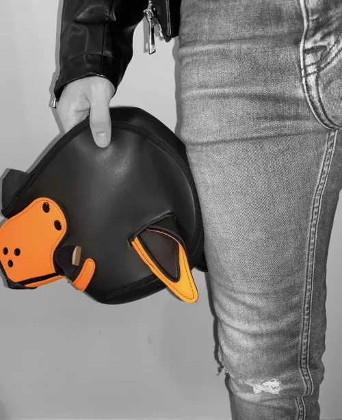 Getting ready for a night on the town 🐾