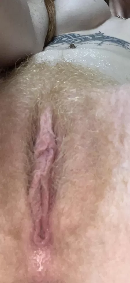 Ginger bush Ginger bush