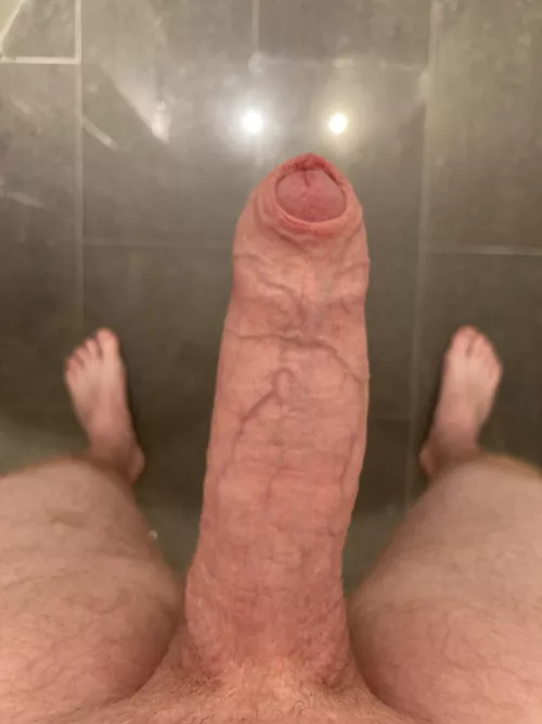 Ginger dad dick anyone?