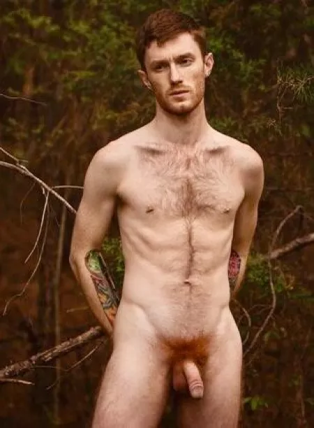 Ginger in the woods