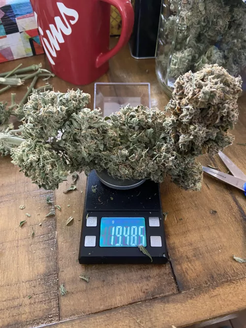 Girthy buds, she’s (f) but makes (M)e excited! Girthy buds, she’s (f) but makes (M)e excited!