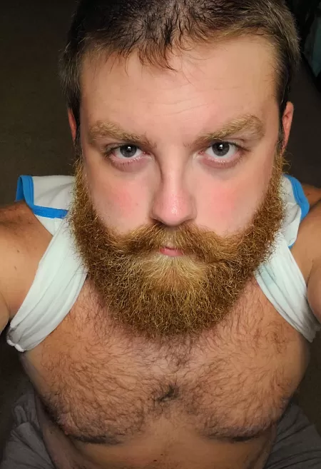 Give me something 🙌🏻🐻