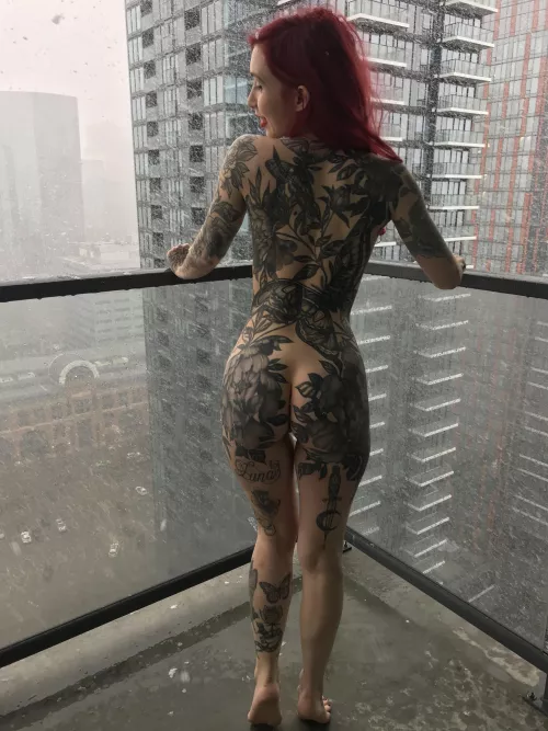 Giving my neighbours a better view