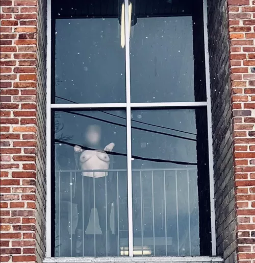 Giving the neighbors a peek ๐