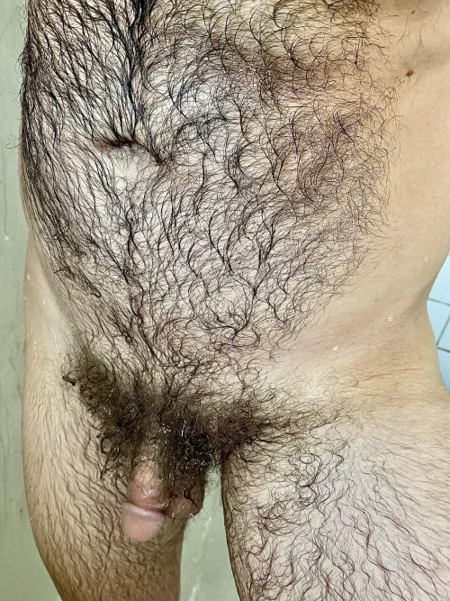 Glistening fur 💧