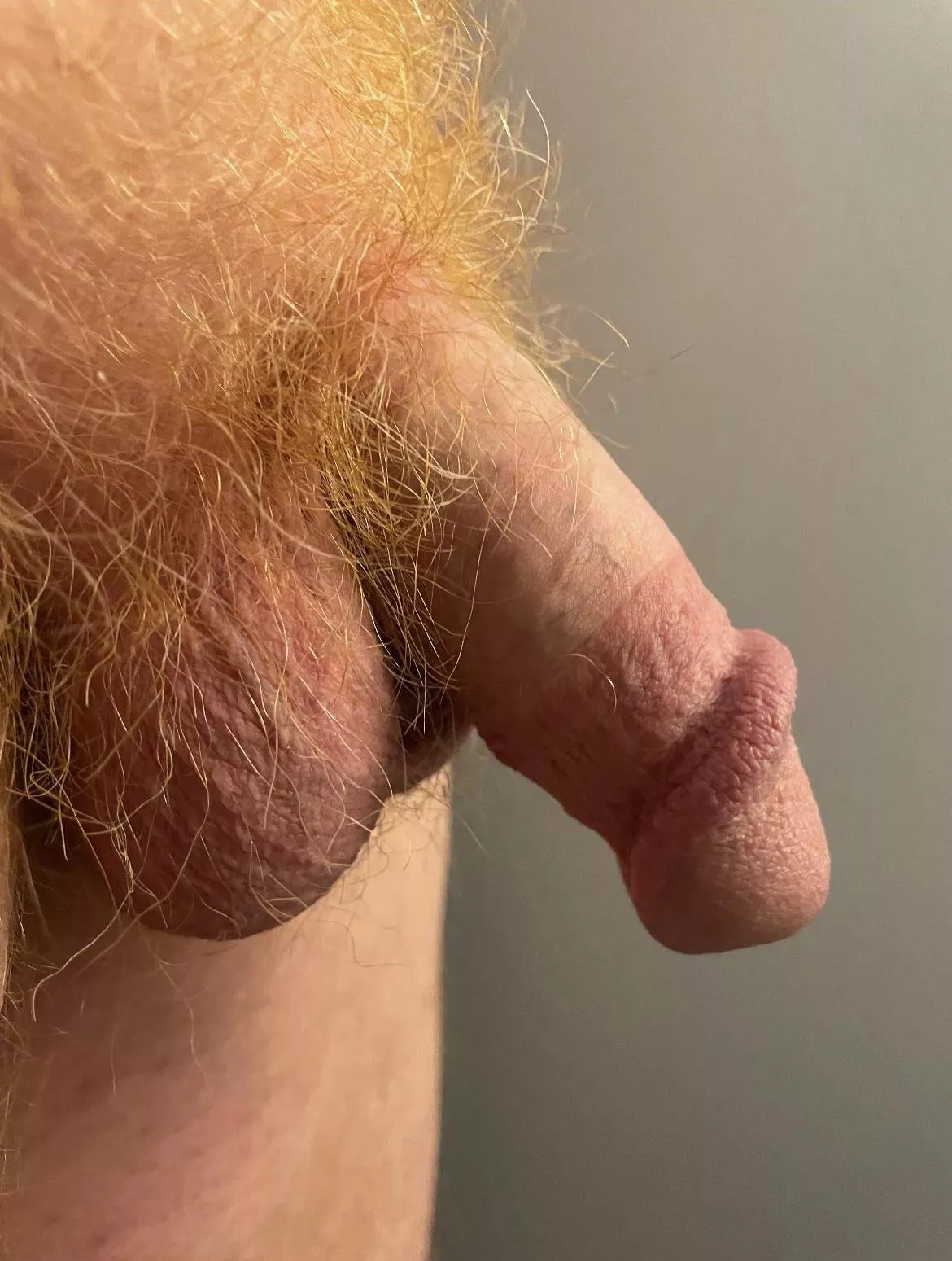 Glowing red pubes with sift cock