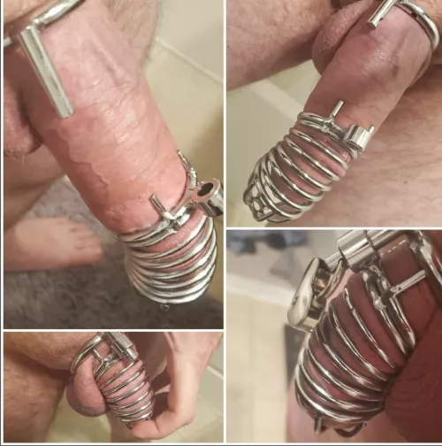 Go away cock! Go away cock!