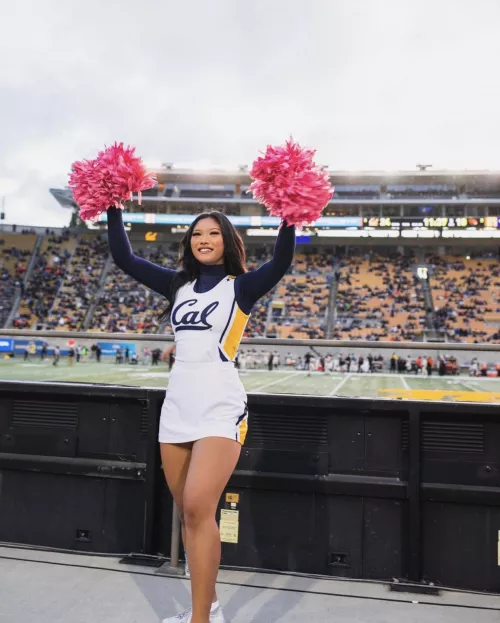 Go Bears Go Bears