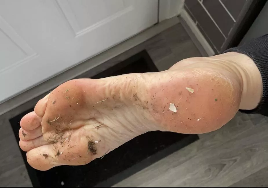Go on - clean them Go on - clean them