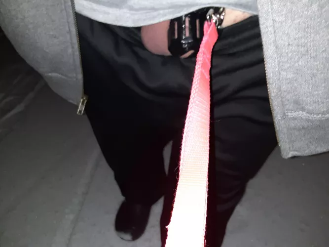 Going for a walk with my clitty out and leashed Going for a walk with my clitty out and leashed