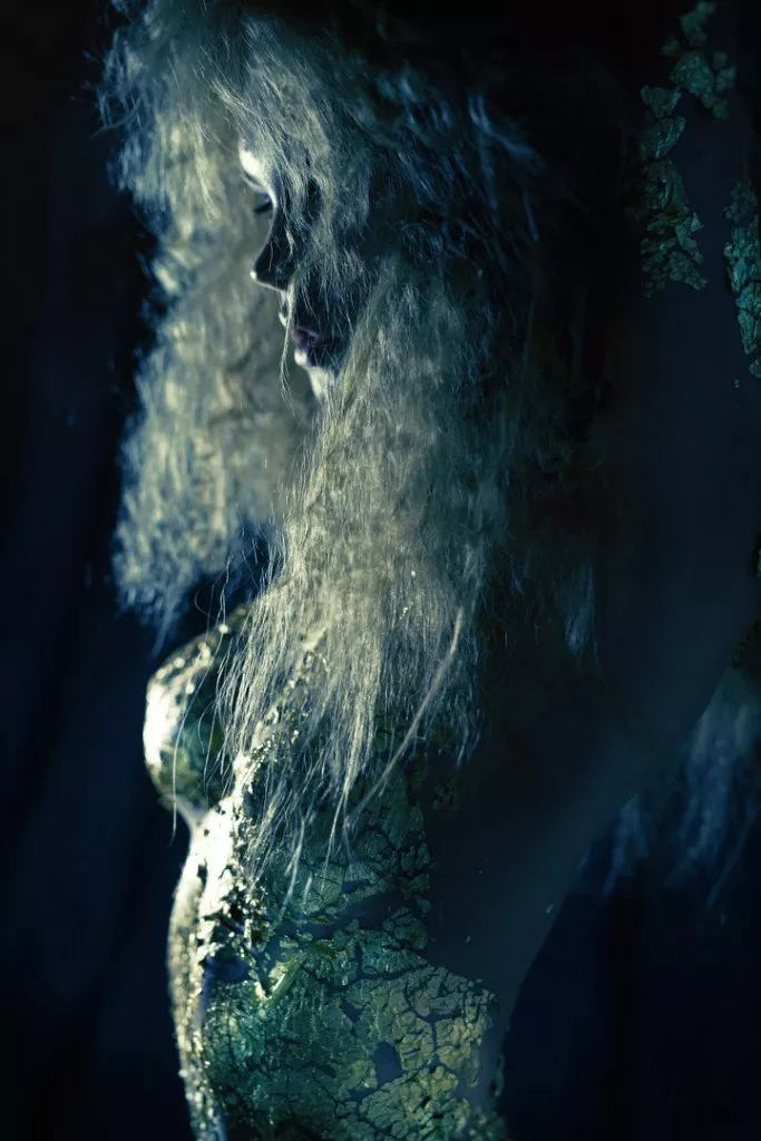 Gold leaf 1 Gold leaf 1