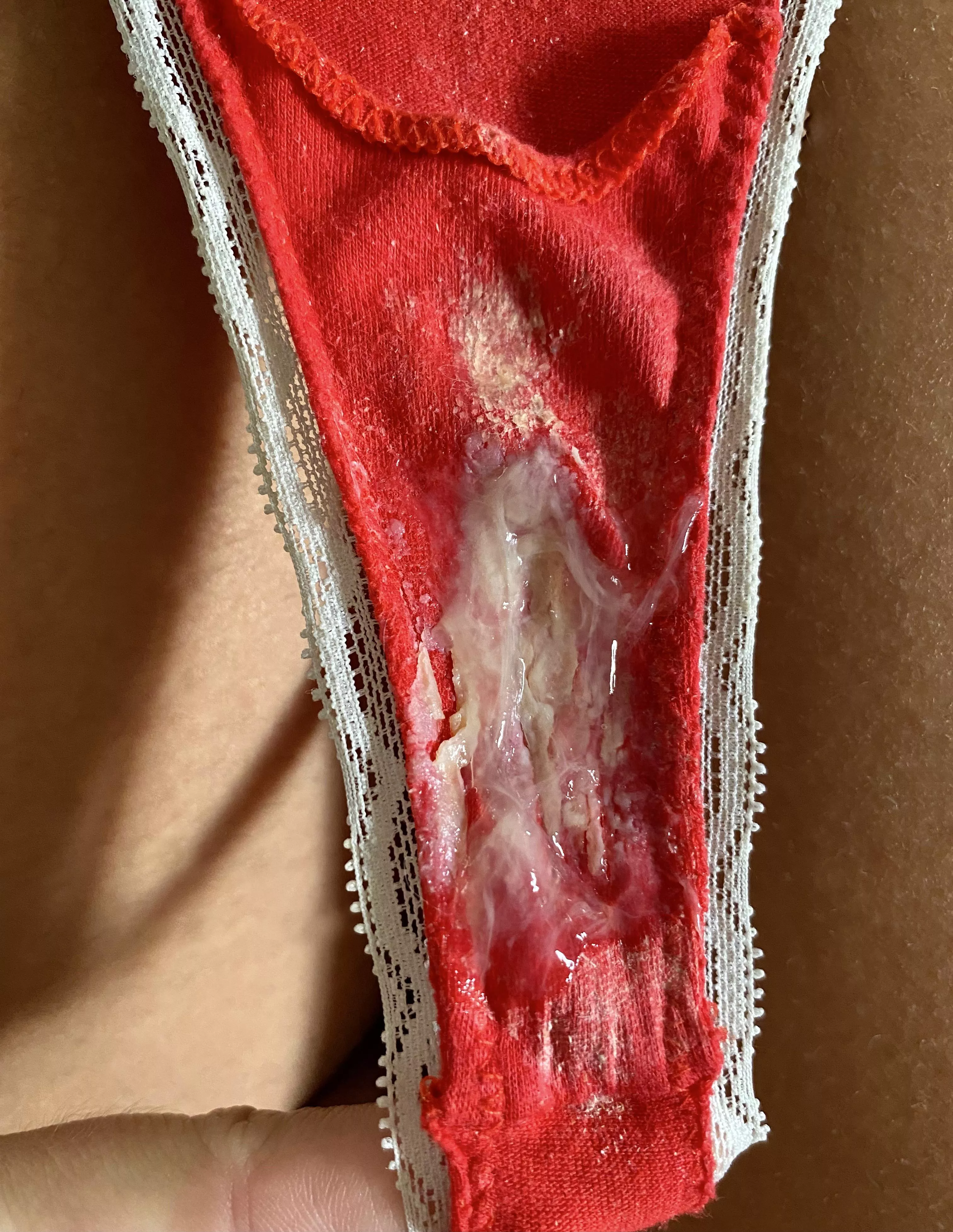 🌞Golden hour really brings out all the grooliness🌞